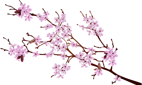 decorative flower