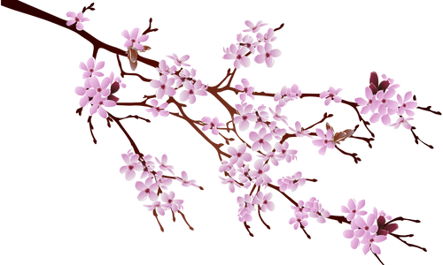 decorative flower left